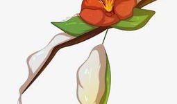 山茶花漫画,一场浪漫的漫画之旅